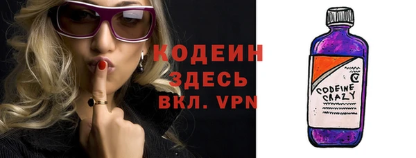 шишки Няндома