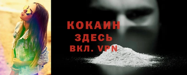 PSILOCYBIN Беломорск