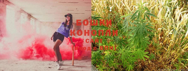 PSILOCYBIN Беломорск