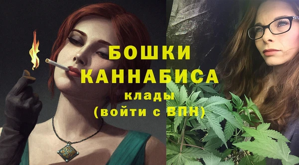 PSILOCYBIN Беломорск