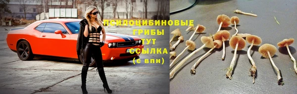 mdpv Белоозёрский