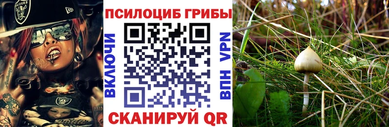 Галлюциногенные грибы Magic Shrooms  Цоци-Юрт 